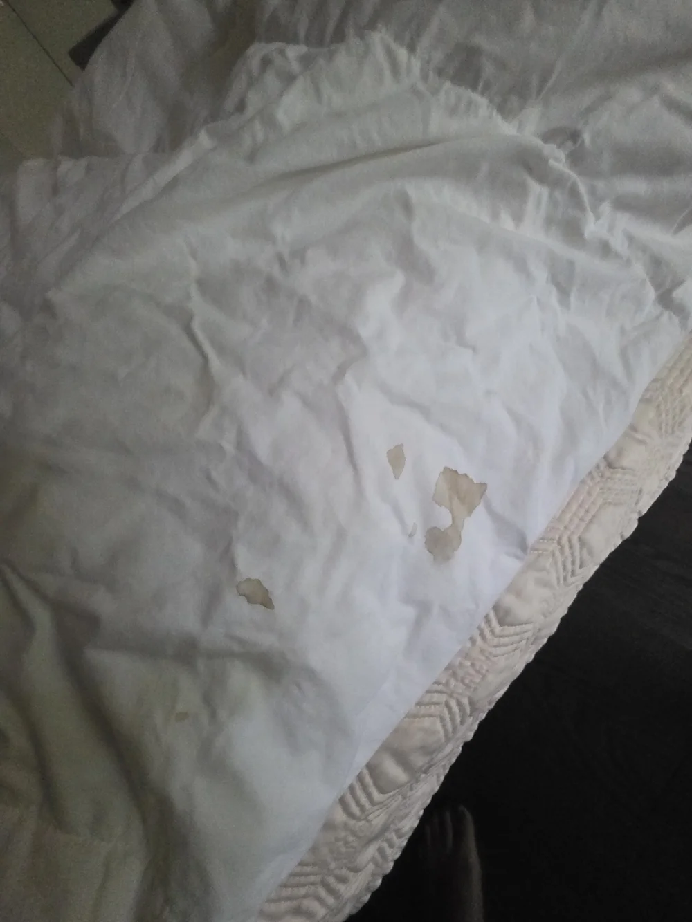 White Down Alternative Comforter - Cozy  Bedding